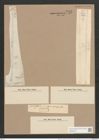 Synedra ulna var. longissima (W. Sm.) Brun. (de-Toni-Nr.: Genus 66, Species 2584) Zeichnungen Sammlung Grunow Nr. 5213 (NHMW-BOT-W0373579)